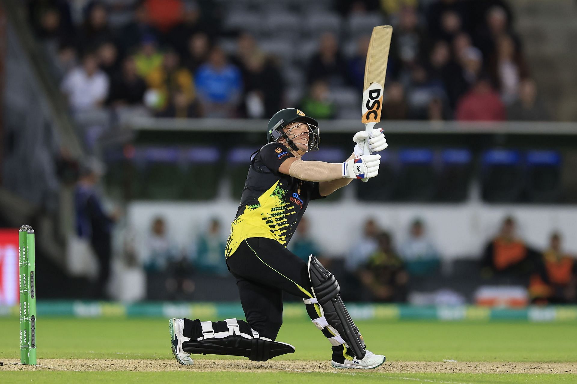 David Warner was the Player of the Tournament during last year’s T20 World Cup. Pic: Getty Images